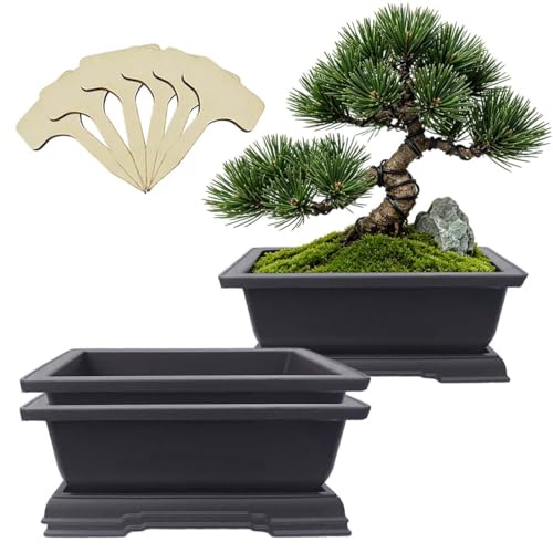 MUZHI 3PCS Retro Style Rectangular Garden Pots Bonsai Planters Pot with Tray Mocha Plastic Plant Pot with Pallet (3PCS Rect 7.5") - size: 3PCS Rect 7.5"
