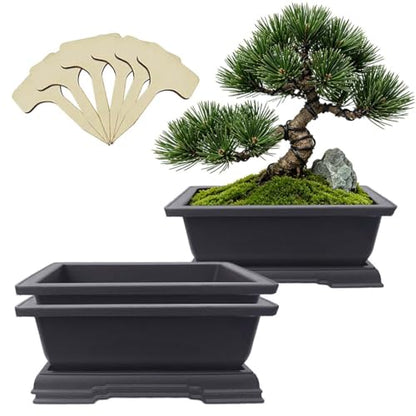 MUZHI 3PCS Retro Style Rectangular Garden Pots Bonsai Planters Pot with Tray Mocha Plastic Plant Pot with Pallet (3PCS Rect 7.5") - size: 3PCS Rect 7.5"