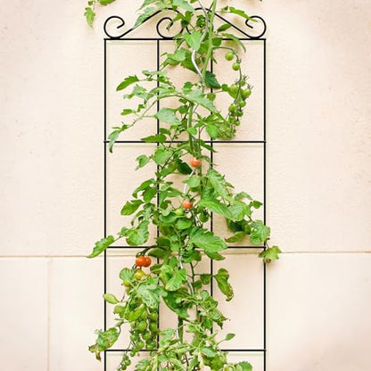 ARIFARO 4Pack 47'' Metal Garden Trellis for Climbing Plants Outdoor | Thicken Steel Trellis, For Indoor/Outdoor, Tomato, Cucumber, Rose, Flower, Potted Plants, Houseplants, Climbing Vines, Black - size: 47 inches