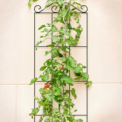 ARIFARO 4Pack 57.5'' Metal Garden Trellis for Climbing Plants Outdoor | Thicken Steel Trellis, For Indoor/Outdoor, Tomato, Cucumber, Rose, Flower, Potted Plants, Houseplants, Climbing Vines, Black - size: 57.5 inches