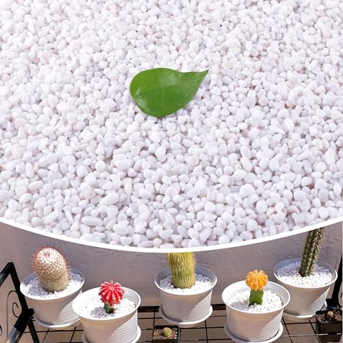 18lb 1/4" Small White Rocks for Plants,Potting,Succulents Aquarium Fish Tank Garden Vases Decorative Pebbles Gravel Rocks Stones - color: white, size: 18 lb (1/4 in)