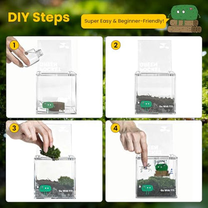 DIY Moss Terrarium Kit, 4 * 4 * 4 inch Acrylic Cube Mini Garden with Live Star Moss, Soil, Endless Love-Craft Kit for Adults and Teens, Relaxing Desk Decor & Unique Gift for Home or Office