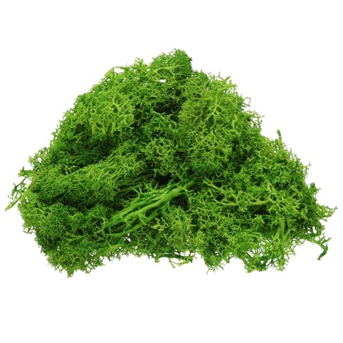 Preserved Reindeer Moss, 4 OZ Fake Moss for Crafts Artificial Dried Moss for Decoration, Craft, Terrariums, Potted Plants, Centerpieces Fairy Gardens (Light Green)