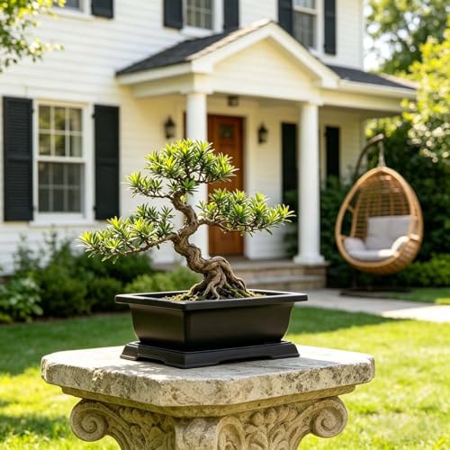 MUZHI 3PCS Retro Style Rectangular Garden Pots Bonsai Planters Pot with Tray Mocha Plastic Plant Pot with Pallet (3PCS Rect 7.5") - size: 3PCS Rect 7.5"