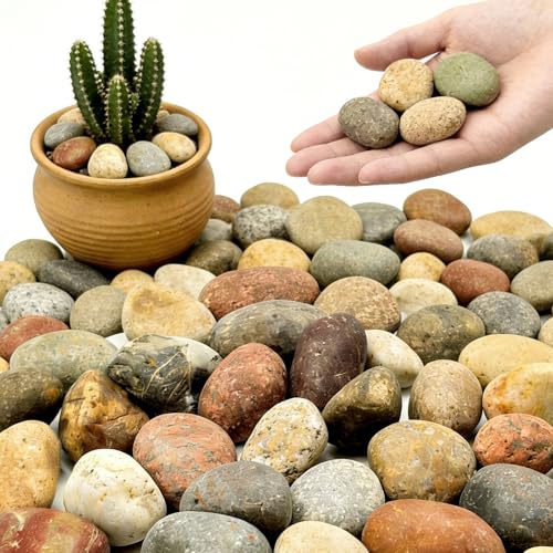 1-2 Inch Mixed Round Smooth Pebbles for Painting and Landscaping, 12LB - color: 12LB, size: 1-2inch