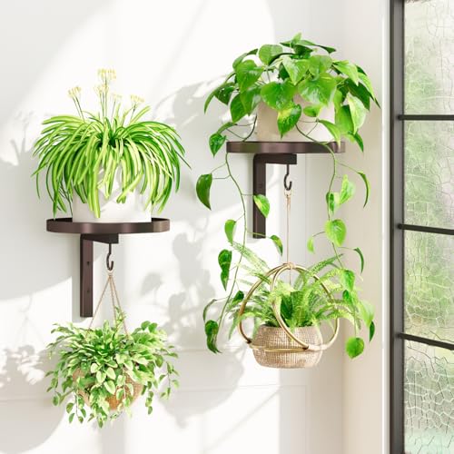 iDavosic.ly Plant Wall Hanger Holder Set of 2 for Indoor Outdoor, Bronze - color: Bronze, size: 2 Pack