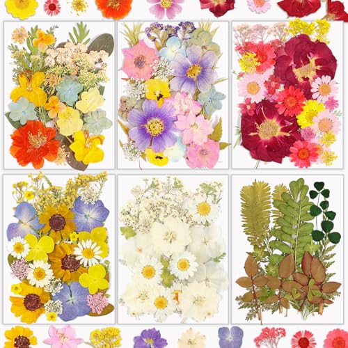 Dried Flowers, Resiners 174Pcs Pressed Flowers for Craft Pink Real Natural Dried Flowers Dry Leaves Kit for DIY Making Crafts Resin Soap Candle Scrapbook Supplies Card Making Jewelry - color: Retro 174pcs