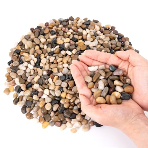 GreatBuddy 10-lb Pebbles for Indoor Plants, 3/8" Pea Gravel for Vases, Small Rocks for Succulents, Fish Tanks, Aquariums, Terrarium, Drainage Pebbles for Potted Plants, River Rocks for Landscaping - color: Natural-10lb, size: Medium-3/8 Inch
