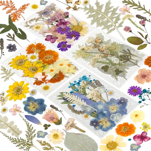 204 Pcs Dried Pressed Flowers for Resin Crafts, Real Natural Pressed Flowers and Leaves Kit Butterfly Stickers Vacuum Sealed Dry Flowers for DIY Epoxy Resin Jewelry Molds, Candle Soap Making, Nail Art - color: Purple 204pcs