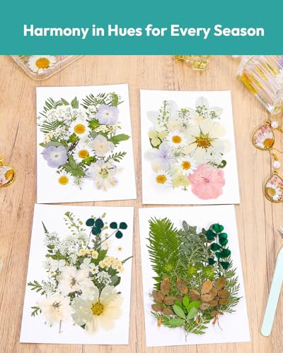 Dried Flowers, Resiners 100Pcs Pressed Flowers for Craft | White Real Natural Dried Flowers Dry Leaves Kit for DIY Making Craft Resin Soap Candle Scrapbook Supplies Card Making Jewelry - color: Ivory White 100pcs
