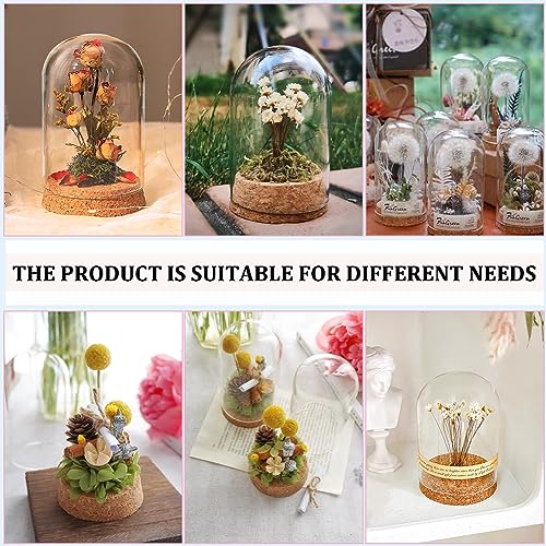 BENECREAT 4 Set Dome Display Glass Jar with Cork, 2.57x3.6inch Tabletop Centerpiece Cloche Bell Jar for Flower Plants, Specimens, Crafts Decorations (Pack of 3) - size: 2.5x3.6" (Pack of 3)