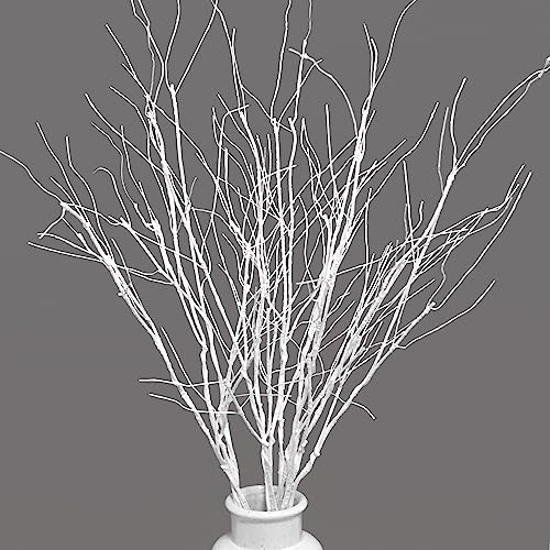 VANTREE 10 PCS Artificial White Birch Branches，Bendable Dried Sticks Stems | 30.7 Inches Faux Olive Branches，Fake Twigs Stems for Vases Floor Farmhouse Winter Flower Arrangements Christmas Tree Decor