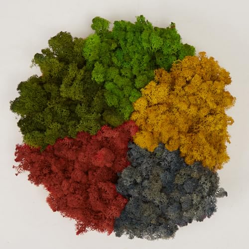 Preserved Reindeer Moss Natural Green DIY Kit Gardenning Art Wall Decor Florist Decor Easter Table Decor Wedding - color: Style-3, size: 1 lb