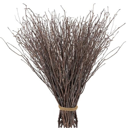 60Pcs Real Dried Birch Twigs Branches 16 Natural Decorative Birch Branches - size: 60
