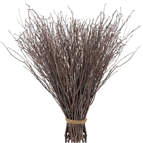 60Pcs Real Dried Birch Twigs Branches 16 Natural Decorative Birch Branches - size: 60