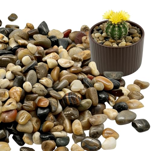 Lightly Polished Multicolored Washed Rice Stone, 6 Lb, 3/8 Inch - color: Colorful, size: 6LB