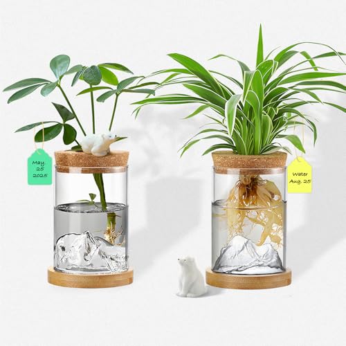 2 Pcs Plant Propagation Station with Mountain-Shaped Bottom | Hydroponic Glass Vases with Bamboo Saucer, Terrarium Jars for Indoor Growing, Desktop Vivarium, Ideal Gifts for Plant Lovers