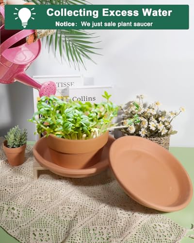 vensovo 11 Inch Terracotta Plant Saucer Pots Tray - 3 Pcs Round Planter Saucers for Indoor & Outdoor Plants, Large Clay Trays Perfect for 10,10.5,11 Inch Flower Pot | 3 pack large terracotta planter saucers for 11 and 11.5 inch flower pots, ideal for catc
