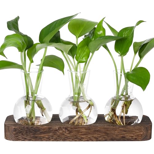 YIBOT Plant Propagation Station, Desktop Glass 3 Bulb Vase Brown Wood Tray - size: 3 Vase-T