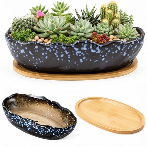 Succulent Pot 10 Inch Large Succulent Planters with Drainage Ceramic Bonsai Pot with Bamboo Tray Round Shallow Planter for Indoor Cactus Flower Planter Window Box for Home Garden Decor (Starry Blue) - color: Starry Blue, style: Round