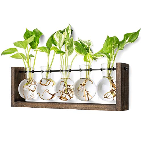 Mkono Plant Propagation Station Hanging Desktop Wooden Stand 5 Vases Holder - color: Brown, size: Large