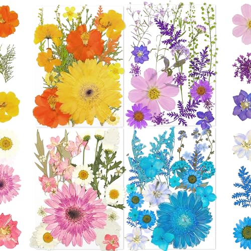 100Pcs Dried Pressed Flowers for Resin Molds- Beautiful Pressed Flowers Daisies for Resin Jewellery, Pressed Flowers Nail Pendant Crafts Making Craft DIY Accessories with 1pcs Tweezers - color: Color-big Flowers