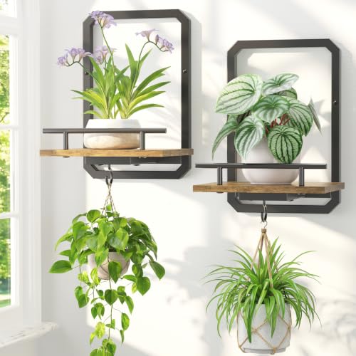 LASZOLA Plant Picture Frame Holder Shelf Wall Window Indoor, 2 Pcs Brown - color: Glossy Black+Brown, size: 2