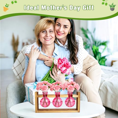 XXXFLOWER Plant Terrarium Jar Propagation Station Stand 3 Pink Bulb Vases - color: Pink