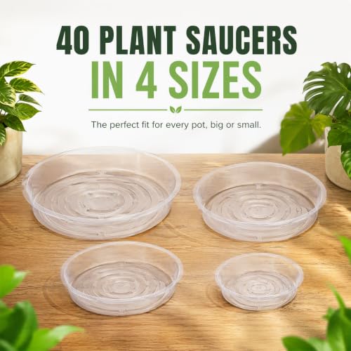 Kingrol 40 Pack Plant Saucers for Pots, 4 Sizes Plant Drip Trays (6/8/10/12 Inch), Lightweight Flexible PET Plant Pot Saucer for Indoor Outdoor Plants, Clear Flower Pot Tray