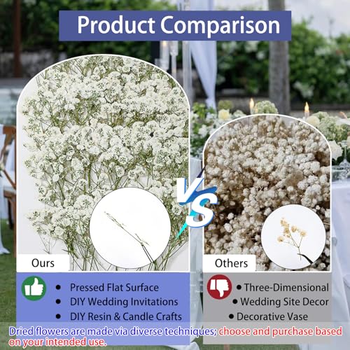 112Pcs Babys Breath Mini Dried Pressed Flowers for Crafts, Real Natural Flat White Dry Flowers Bulk for DIY Wedding Invitation, Resin Art, Card, Bookmark, Scrapbook, Jewelry, Frame, Candle,Soap Making - color: White Baby's Breath 112pcs