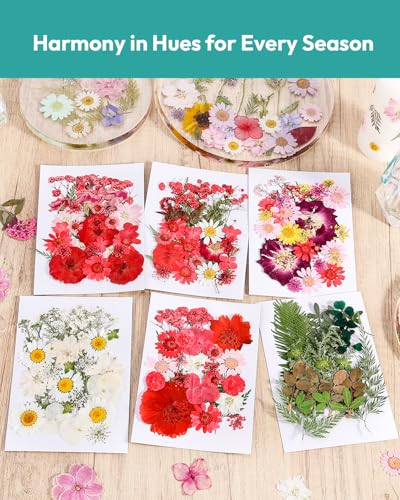 Dried Flowers, Resiners 174Pcs Pressed Flowers for Craft Red Real Natural Dried Flowers Dry Leaves Kit for DIY Making Crafts Resin Soap Candle Scrapbook Supplies Card Making Jewelry - color: Cherry 174pcs