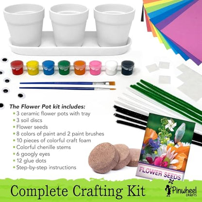 Pinwheel Crafts Flower Pot Painting Kit for Kids Ages 8-12, Seeds and Soil - style: Painting Kit with Seeds and Soil