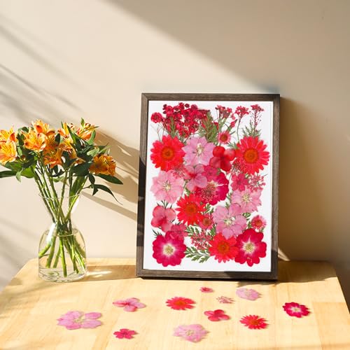 37Pcs Red Dried Pressed Flowers Natural Dried Flowers for Resin,Real Pressed Flowers for Crafts,Dry Flowers for Resin Molds DIY Scrapbookin Candle Jewellery Making - color: 37pcs Red