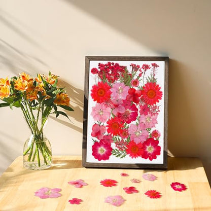 37Pcs Red Dried Pressed Flowers Natural Dried Flowers for Resin,Real Pressed Flowers for Crafts,Dry Flowers for Resin Molds DIY Scrapbookin Candle Jewellery Making - color: 37pcs Red