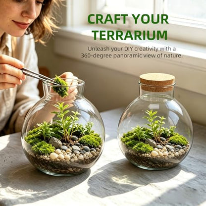 NUOBESTY 2 Pack Glass Terrarium Jar with Cork Lid, 6x6.3 Inch Closed Terrarium for Succulent Moss and Fern, DIY Miniature Desktop Garden for Home & Office Decor (No Plants)