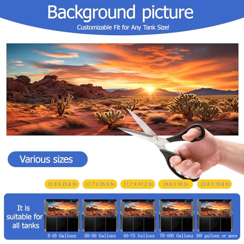 Reptile Background Film, Static Cling, Glue-Free, Desert, 19.6"H×59"W | No Glue Static Cling • Spray Water to Apply • Realistic Desert Scene • Natural Terrarium Look • Reusable • Easy Trim - size: 19.6 X 59 Inches