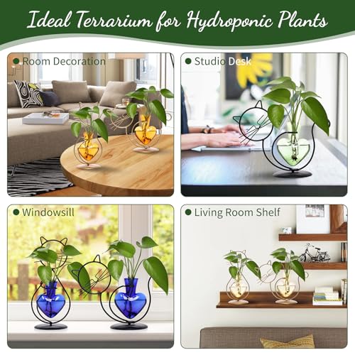 Plant Terrarium Propagation Station Gifts for Women Cat Lover - color: Gold Amber