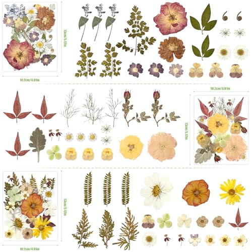 110Pcs Pressed Dried Flowers and Leaves for Resin - color: Boho Pressed Flowers