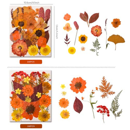 5 Packs 140 Pressed Dried Flowers & Leaves, Fall - color: Fall