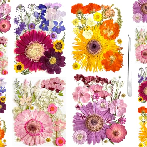 98Pcs Large Dried Pressed Flowers, Natural Leaves for Resin Crafts