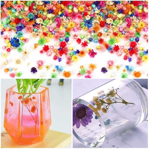 Resin Dried Flowers, DyAi 400Pcs Mini Dried Natural Pressed Flowers, Brazilian Daisies for Crafts Resin Filler, Soap Candles Making, Bookmarks, DIY Epoxy Earrings Jewelry Crafts