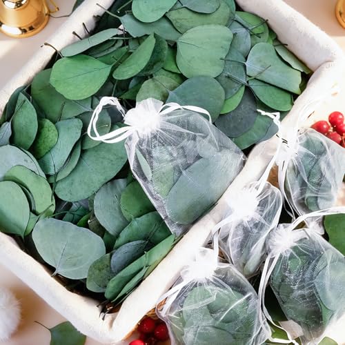 500+ Pcs Dried Real Eucalyptus Leaves - 5 Bags Natural Preserved Greenery Silver Dollar Eucalyptus Bundle Green Leaves Decor for Wedding Table, DIY, Biodegradable Confetti, Cake, Christmas