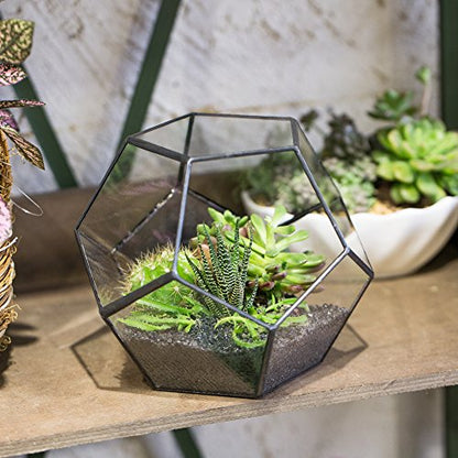 NCYP Glass Terrarium - Small Open Terrarium Planter, and Closed House Shape Glass Terrarium, for Small Succulent Cacti, Ferns, Home Garden Tabletop Decor (No Plants)
