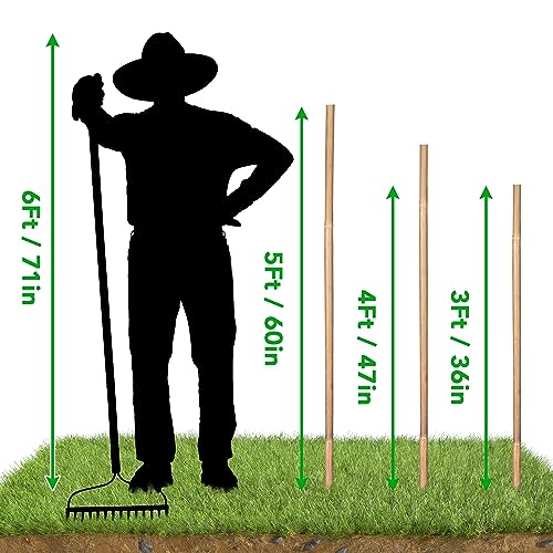SWANGSA 40 Pack Bamboo Stakes for Plant 3 Feet,Bamboo Sticks Plant Support Garden Stakes Poles with 200pcs Twist Ties for Tomatoes, Beans, Flowers, Potted Plants, Indoor and Outdoor Climbing Plants - size: 3 Feet