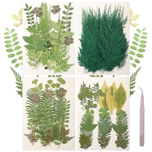 120Pcs Dried Pressed Leaves Flowers Real Flowers Natural Dry Leaves Bulk Mixed Colorful Herbs Kit with Tweezers for Scrapbooking DIY Candle Jewelry Crafts Making Nails Decorate(Green) - color: Green