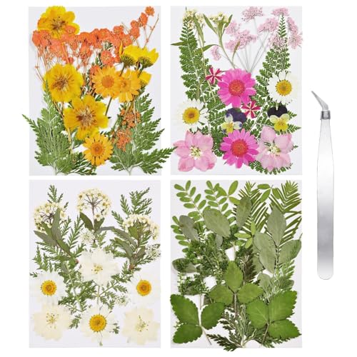 Dried Flowers for Resin - size: 68 pcs Natural Dried Flowers