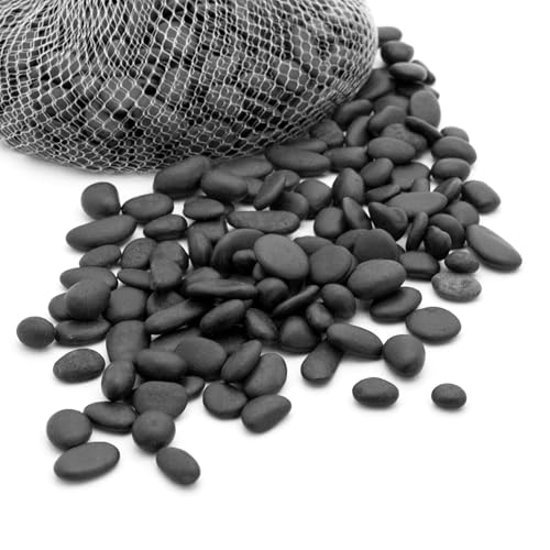 Royal Imports River Rocks, Aquarium Gravel – Black 0.5"- 0.75" - 2 lbs | Decorative Ornamental Vase Filler Pebbles for Potted Plants, Terrariums, Vases, Succulents, Fish Tank Gravel, DIY & Crafting - size: Small - 2 lbs, style: Black