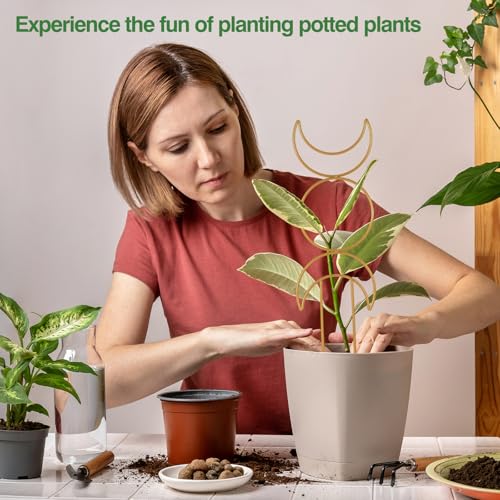 Wellsign 16inch Indoor Plant Trellis for Potted Plants | 4Pack Gold Small Trellis for Climbing Plants Outdoor Garden Metal Trellis with Different Patterns for Vine Ivy Flower Plant - size: Gold-Metal-Trellis01