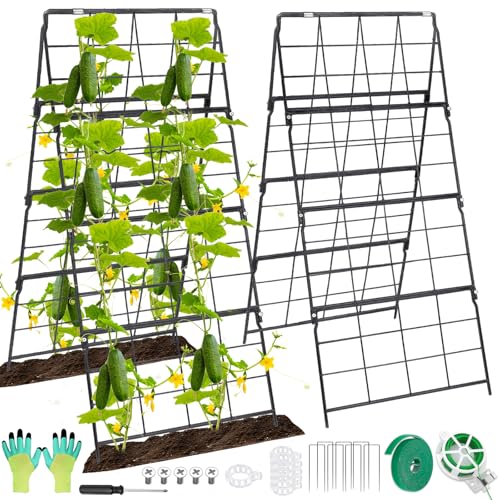 2 Packs Cucumber Trellis for Raised Bed 42 x 16 A Frame Metal Adjustable Garden Trellis for Climbing Plants Outdoor, Foldable Coated Steel Easy Install Cucumber Trellis for Vegetable Fruit Flower - color: 2PC 42 x 16 IN Black