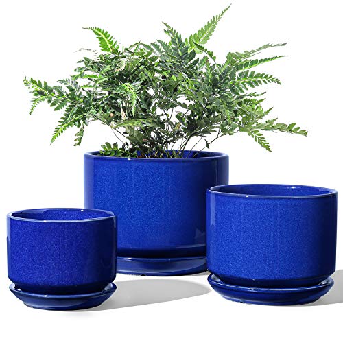 LE TAUCI Ceramic Plant Pots, 4.3+5.3+6.8 inch, Set of 3, Planters with Drainage Hole and Saucer, Indoor Flower Pot with Hole Mesh Pad, Gifts for Mom, Sapphire Blue - color: Sapphire Blue